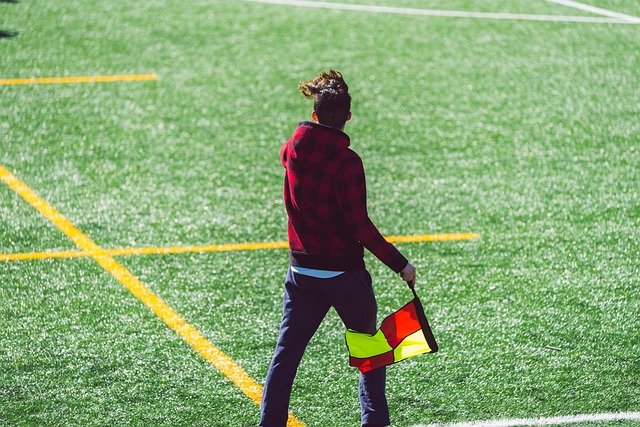 的夺冠概率 的夺冠概率