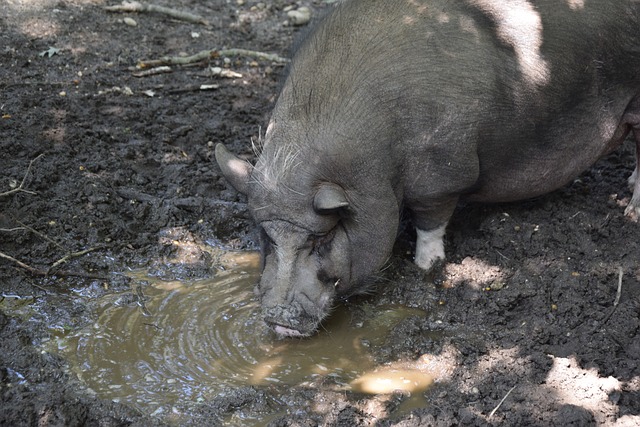 互动模式 互动模式