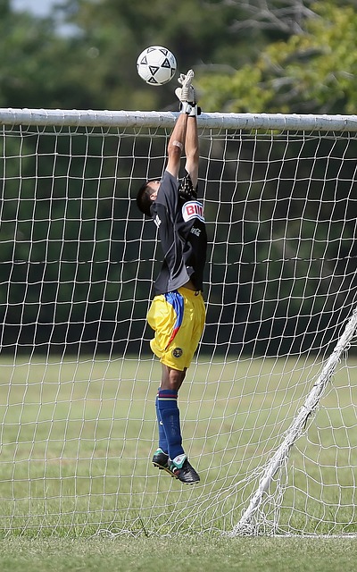 在主场奏响 在主场奏响