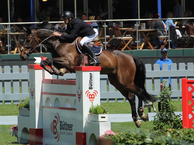 的照片被粉 的照片被粉