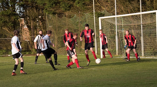 野手林子豪 野手林子豪