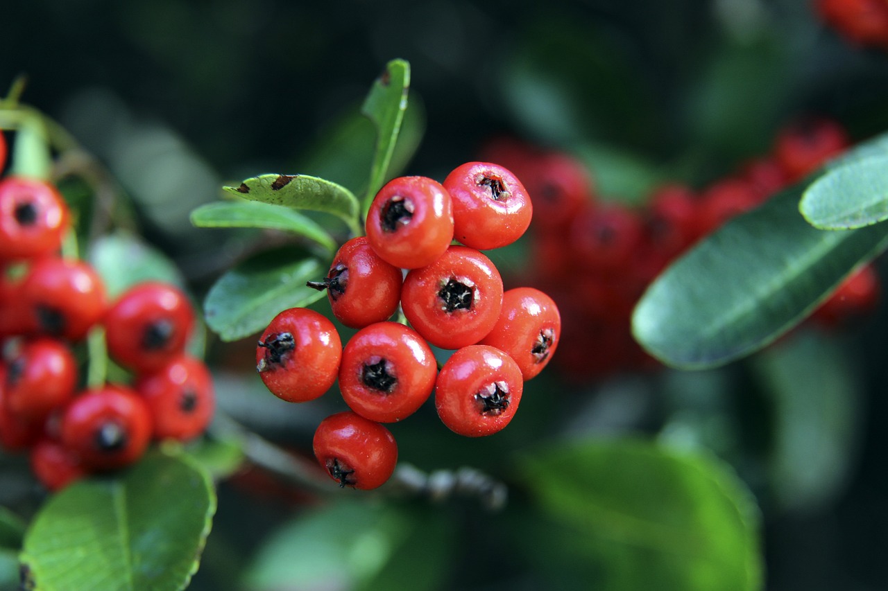 致下赛季球 致下赛季球